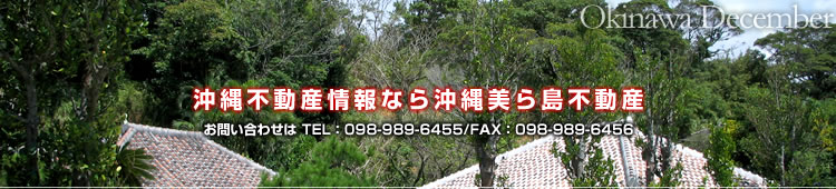  瓇sY-}V/ˌ/yn̕ 2025N1213(Sat)