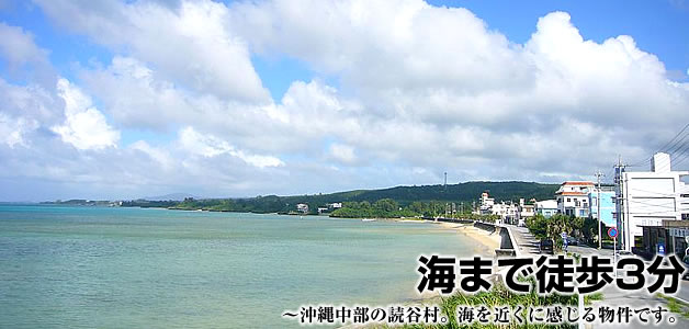 ꔄsY ynuSǒJgv̏ڍ