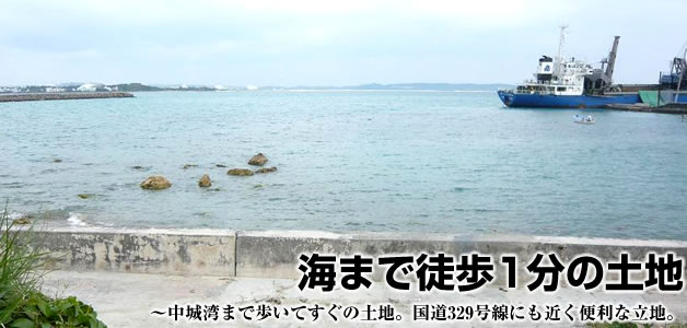 ꔄsY ynuS鑺vv̏ڍ